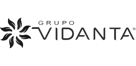 grupo-vidanta-vector-logo