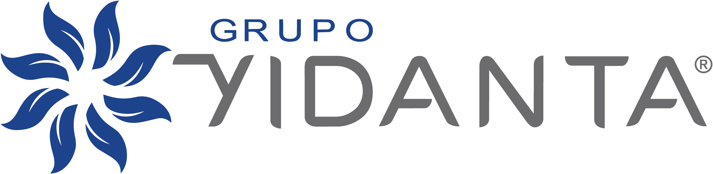 grupo-vidanta-vector-logo copia
